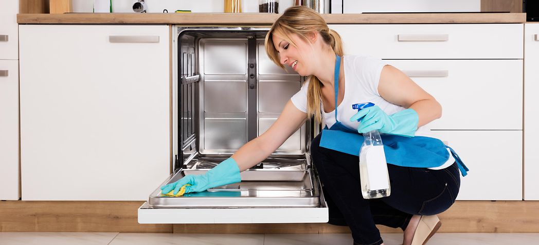 Cleaning Home Dishwasher - How to Clean a Frigidaire Dishwasher