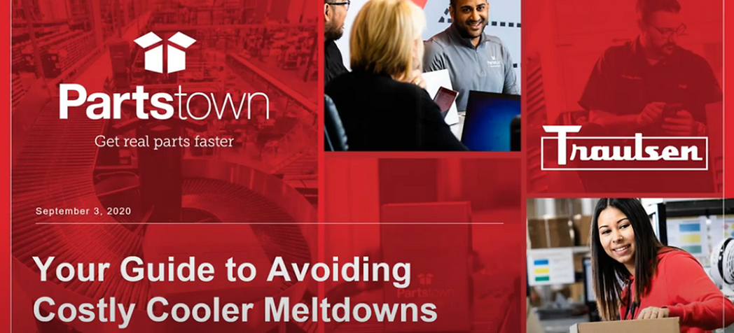 Picture - Traulsen Webinar