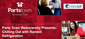 Picture - Randell Webinar