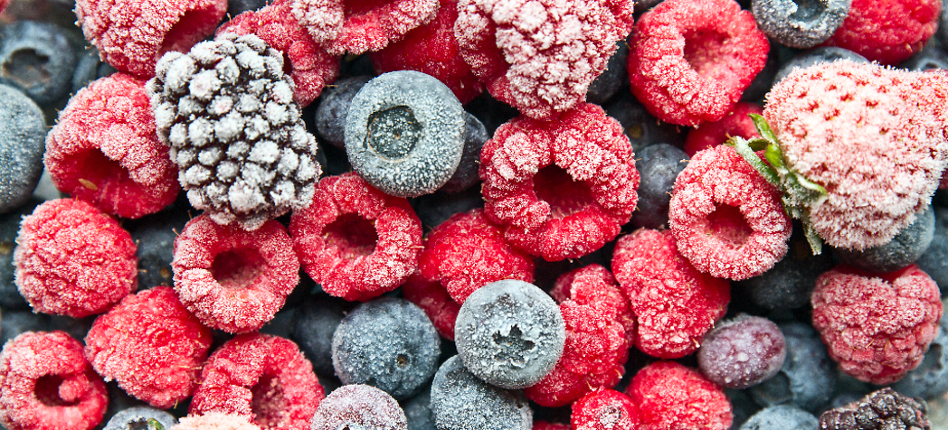 Blast Chillers vs. Freezer: Which is Right for You?