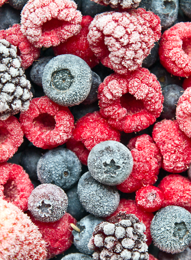 Blast Chillers vs. Freezers Which is Right for You? Parts Town