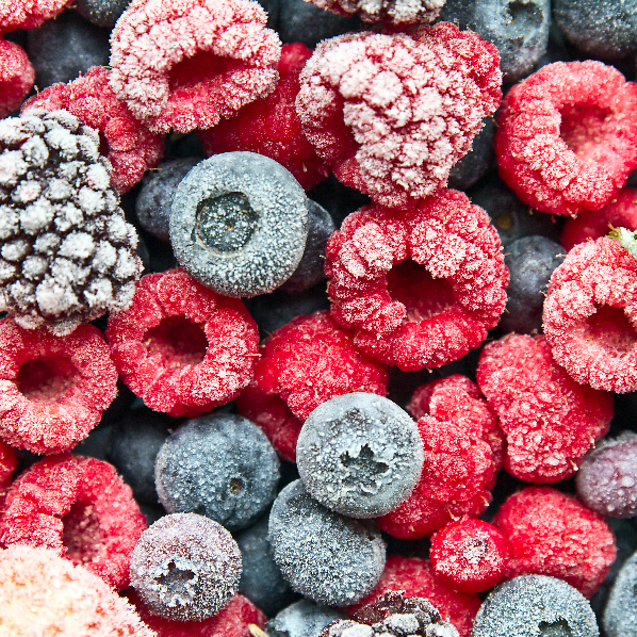 Blast Chillers vs. Freezers Which is Right for You? Parts Town