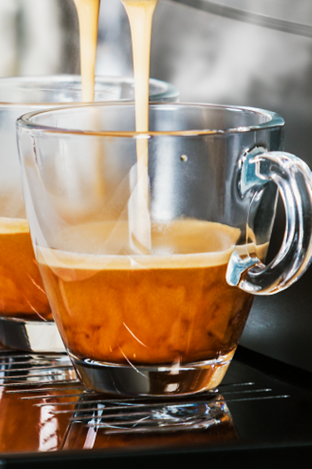 Schaerer Verismo 701 Espresso Machine Troubleshooting Parts Town