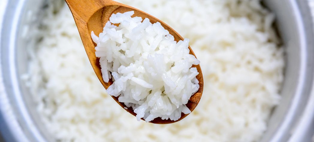 Cooked Rice in Rice Cooker - Winco Rice Cooker Instructions