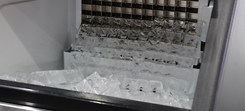 Maxx Ice Photo