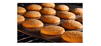 Picture - Blodgett Oven Troubleshooting Tips