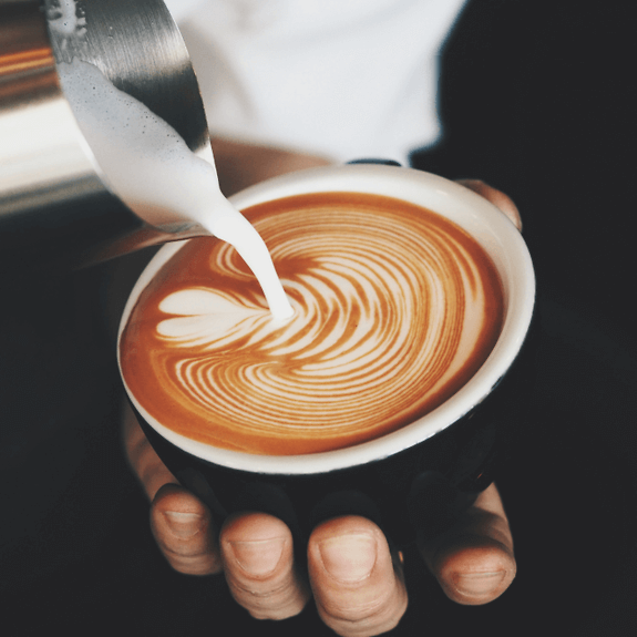 Hamilton Beach Commercial Coffee Maker Troubleshooting Parts Town