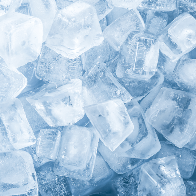 GE Opal Ice Maker Cleaning Parts Town