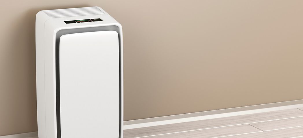 Air Purifier in Large Room