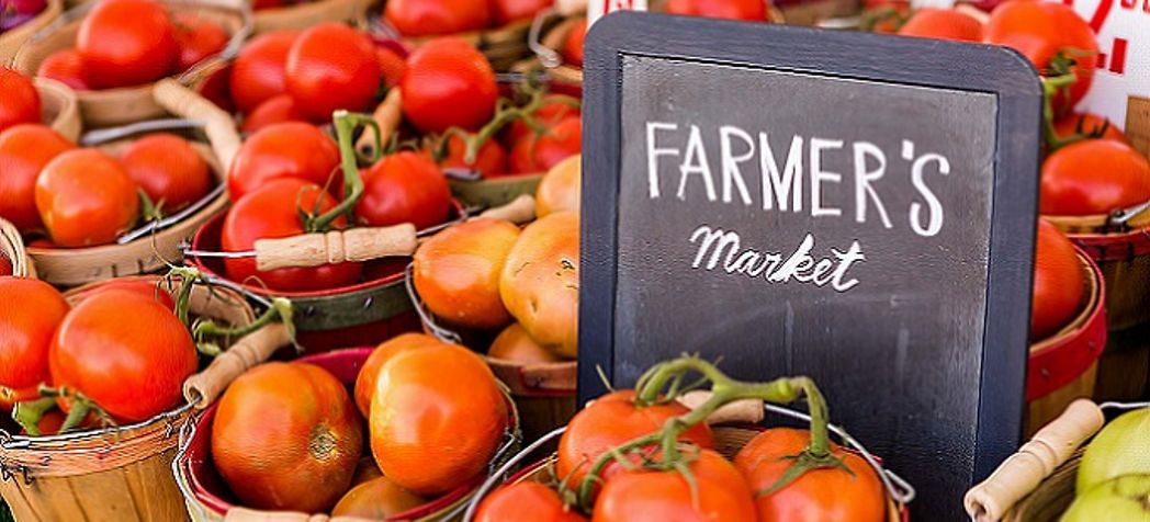 image - 10 most profitable farmers market items