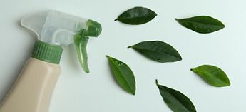 blank spray bottle with leaves - green cleaning in commercial kitchens