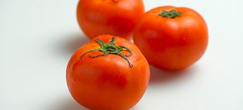 How to Replace Blades on a Prince Castle Tomato Slicer Photo