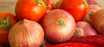 Prince Castle Onion Slicer vs Tomato Slicer Photo