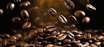 How WMF Bean-to-Cup Technology Works Photo
