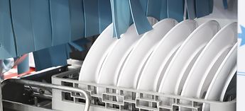 Electrolux Profess Dishwasher Cleaning Photo